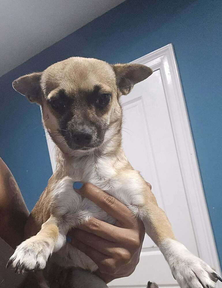 Emma 1 (TX)