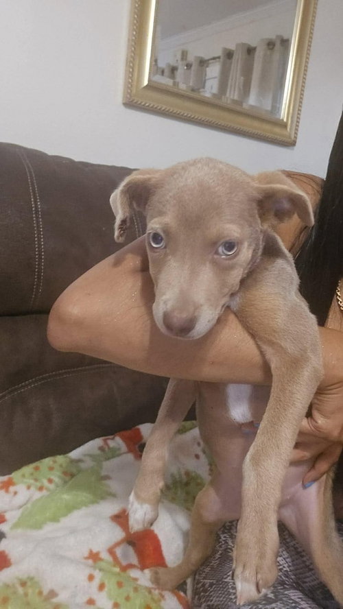 Tookie (TX) aka Girl