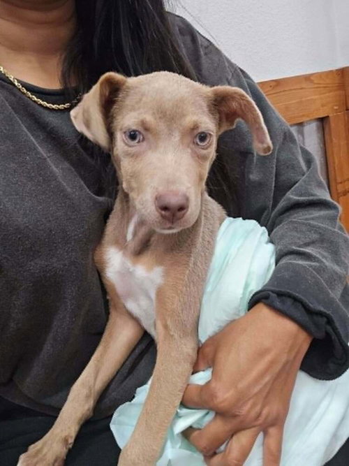 Tookie (TX) aka Girl