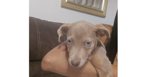 Tookie (TX) aka Girl photo 2
