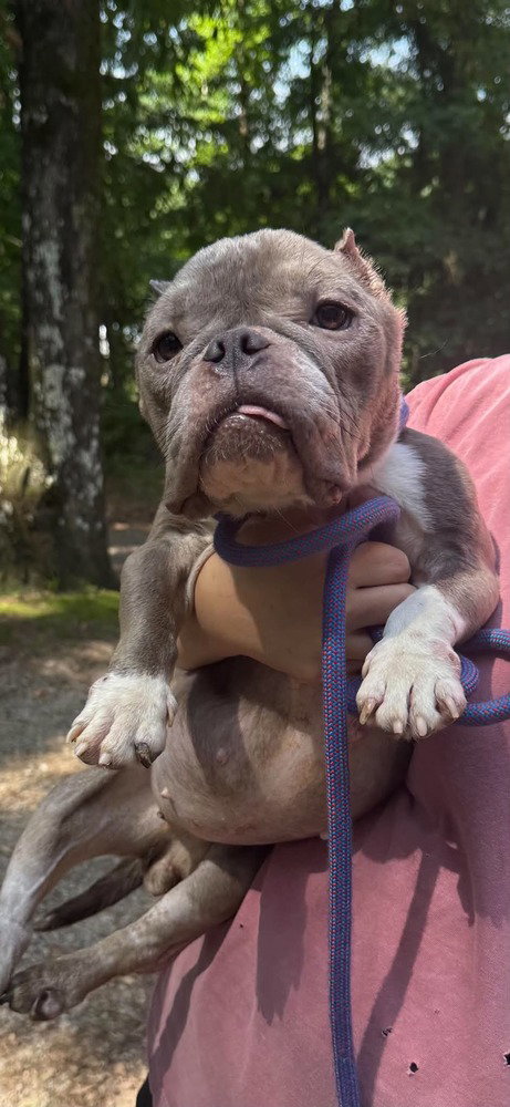 Coco (GA) photo 2