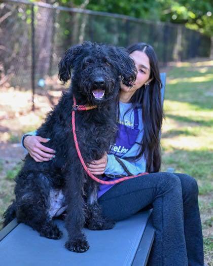 Poosh (GA)