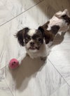 Lilly Marie (AL) - Photo 1