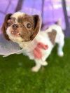 Lilly Marie (AL) - Photo 3