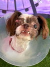 Lilly Marie (AL) - Photo 4