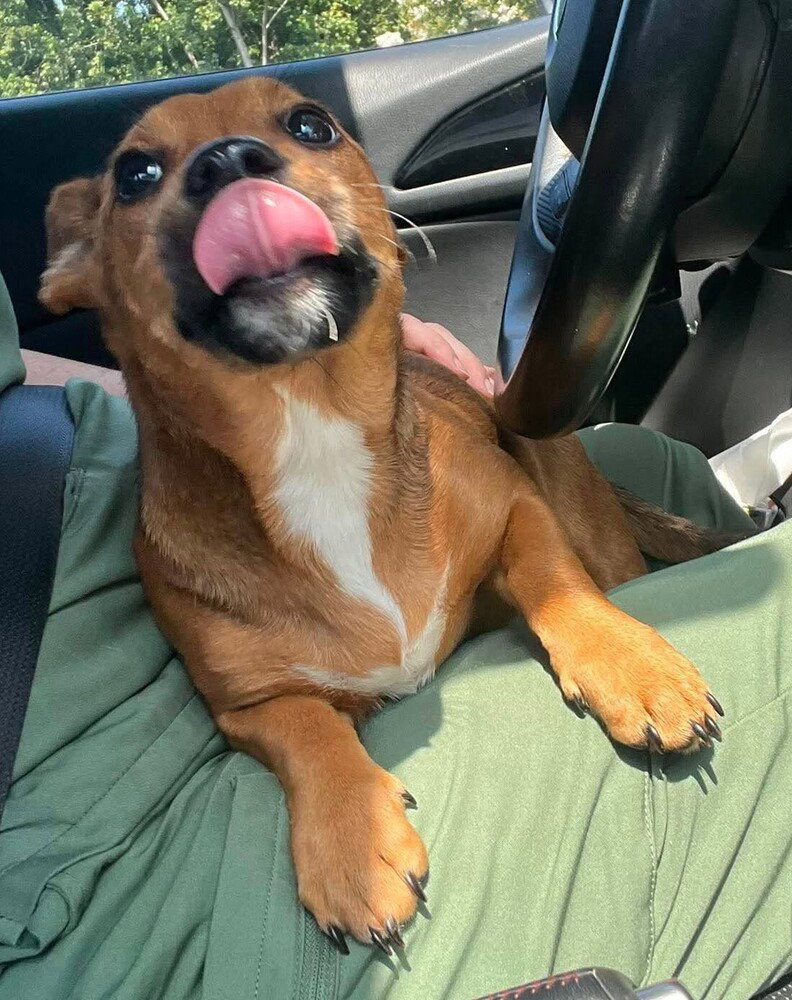 Roxie (AL)