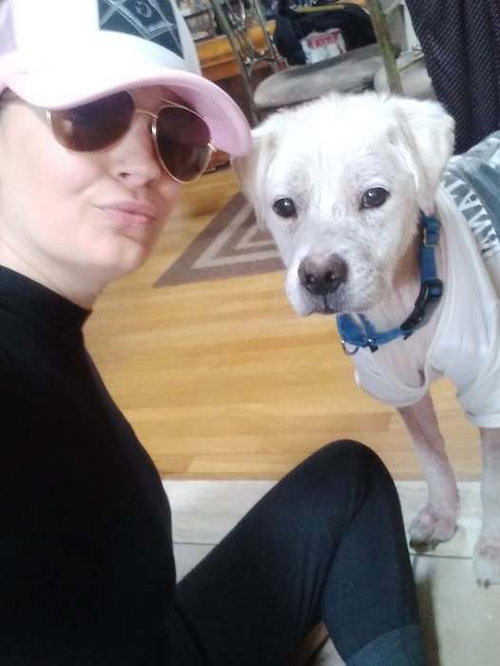 picture of the dog needing adoption
