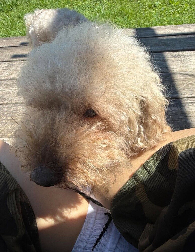 Lucky (GA), photo 3
