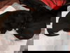 Samson