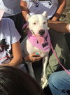 Wanda