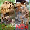 Rebecca