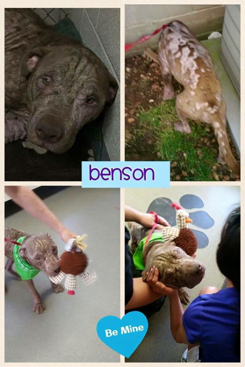 Benson