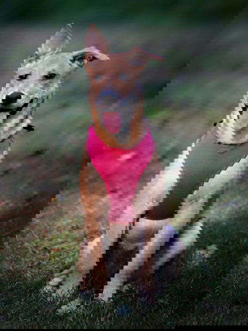 Wilma