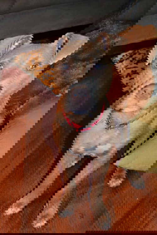 Chad