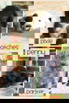 Patches