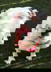 Chelsea