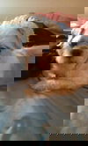 Ollie
