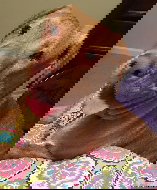 Chaos