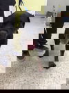 Oto