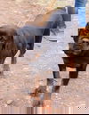 Oto