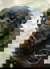 Oto