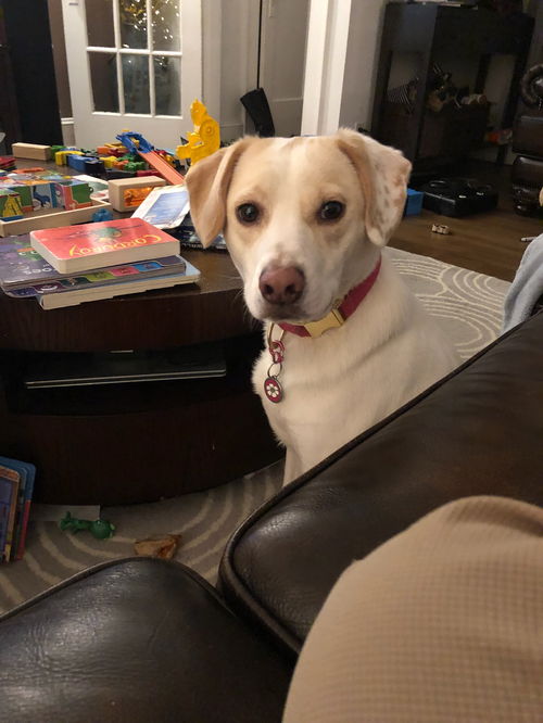 Lil Girl