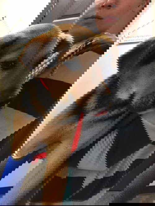Andy