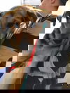 Andy
