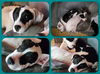Patch