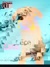 Cece