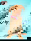 Chap