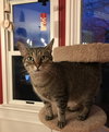 Linus - Photo 8