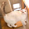 Kallie S. - Photo 4