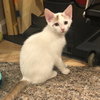 Kallie S. - Photo 11