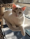 Kallie S. - Photo 7