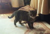 Darla Sue - Photo 8