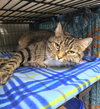 Darla Sue - Photo 6
