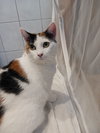 Mimi (Mama) - Photo 3