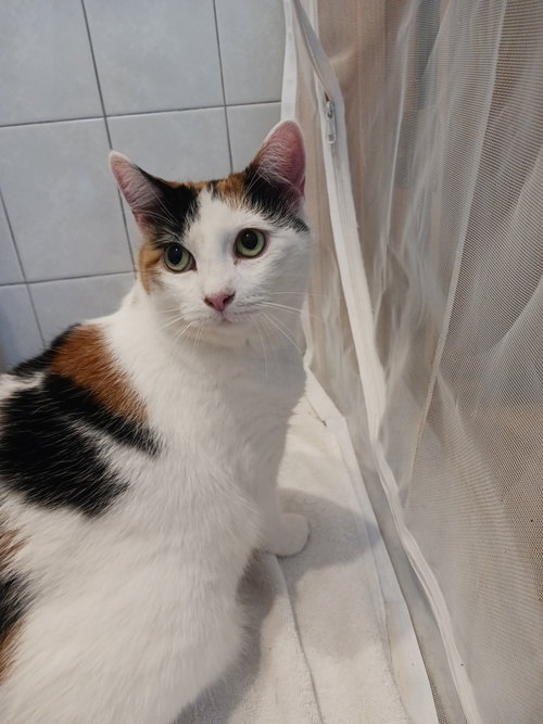 Mimi (Mama) — thumbnail 3