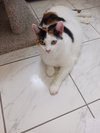 Mimi (Mama) - Photo 6