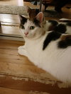 Mimi (Mama) - Photo 7