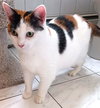 Mimi (Mama) - Photo 2