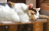 Mimi (Mama) - Photo 4