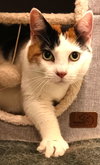 Mimi (Mama) - Photo 8