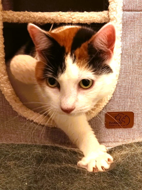 Mimi (Mama) — thumbnail 10