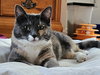 Dorian - Photo 9