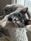 Dorian - Photo 5