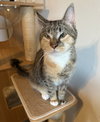 Theia (pronounced Thay-a) - Photo 4