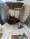 Lil Girl - Photo 14