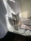 Lil Girl - Photo 12